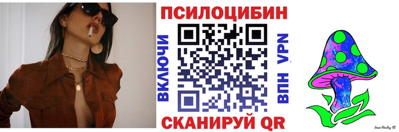 Псилоцибиновые грибы Psilocybe  где купить наркотик  Кяхта 